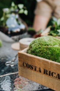 Malarija v Kostariki