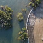 Mayotte in izbruh tifusa na vrhuncu